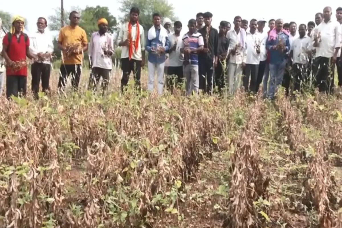 Drought In 265 Maharashtra Talukas: Farm Loan Relief, Water Tankers And Jobs On The Cards