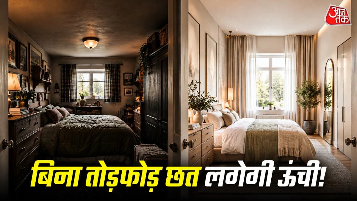 बिना तोड़फोड़, बिना 1 रुपया खर्च किए नीची छत भी दिखेगी ऊंची! छोटे फ्लैट्स के लिए काम आएंगे ये 11 तरीके