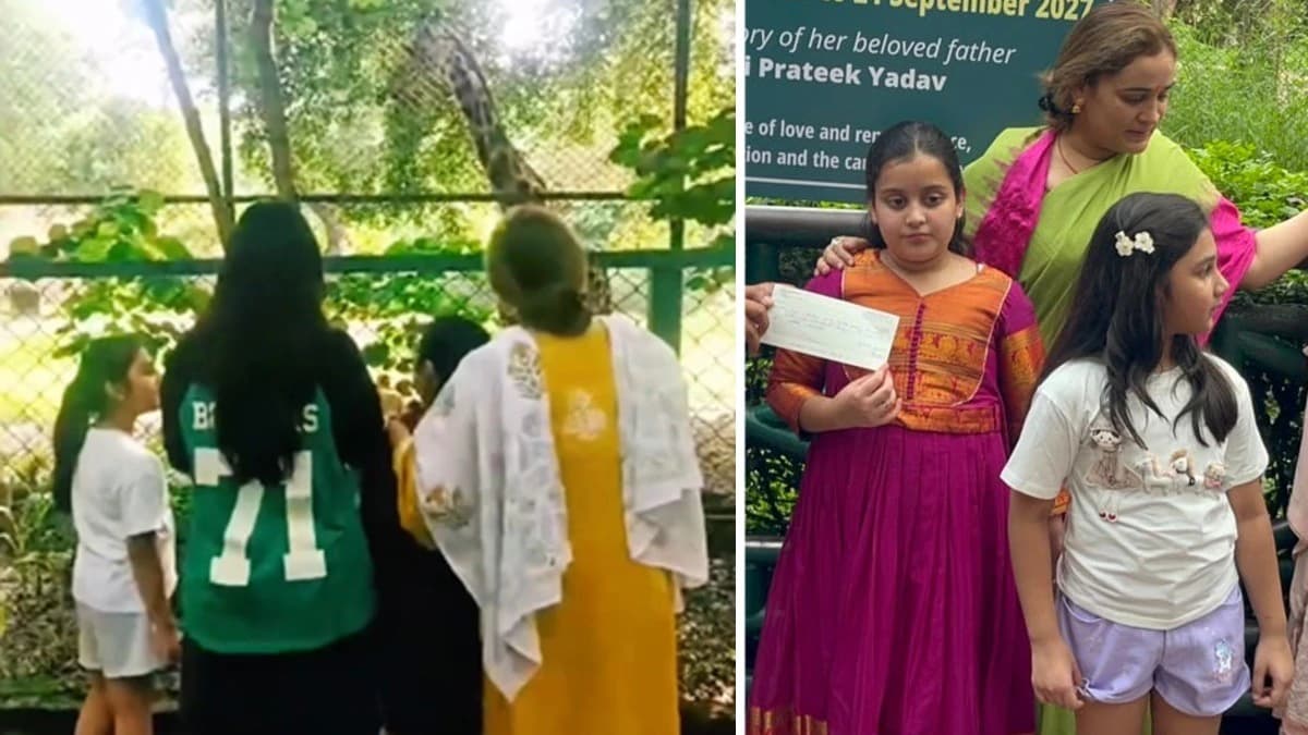 16-18 तरह के अनाज और 20 किलो पत्तियां! जानिए मादा जिराफ 'सुजाता' की दैनिक डाइट और रखरखाव का पूरा खर्च