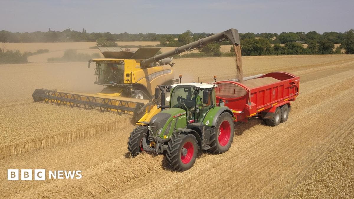 Essex farmers worry about future after 'worst harvest in years'