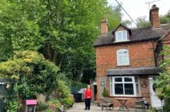 'It's like living in the woods' - residents call for cull of 60ft trees