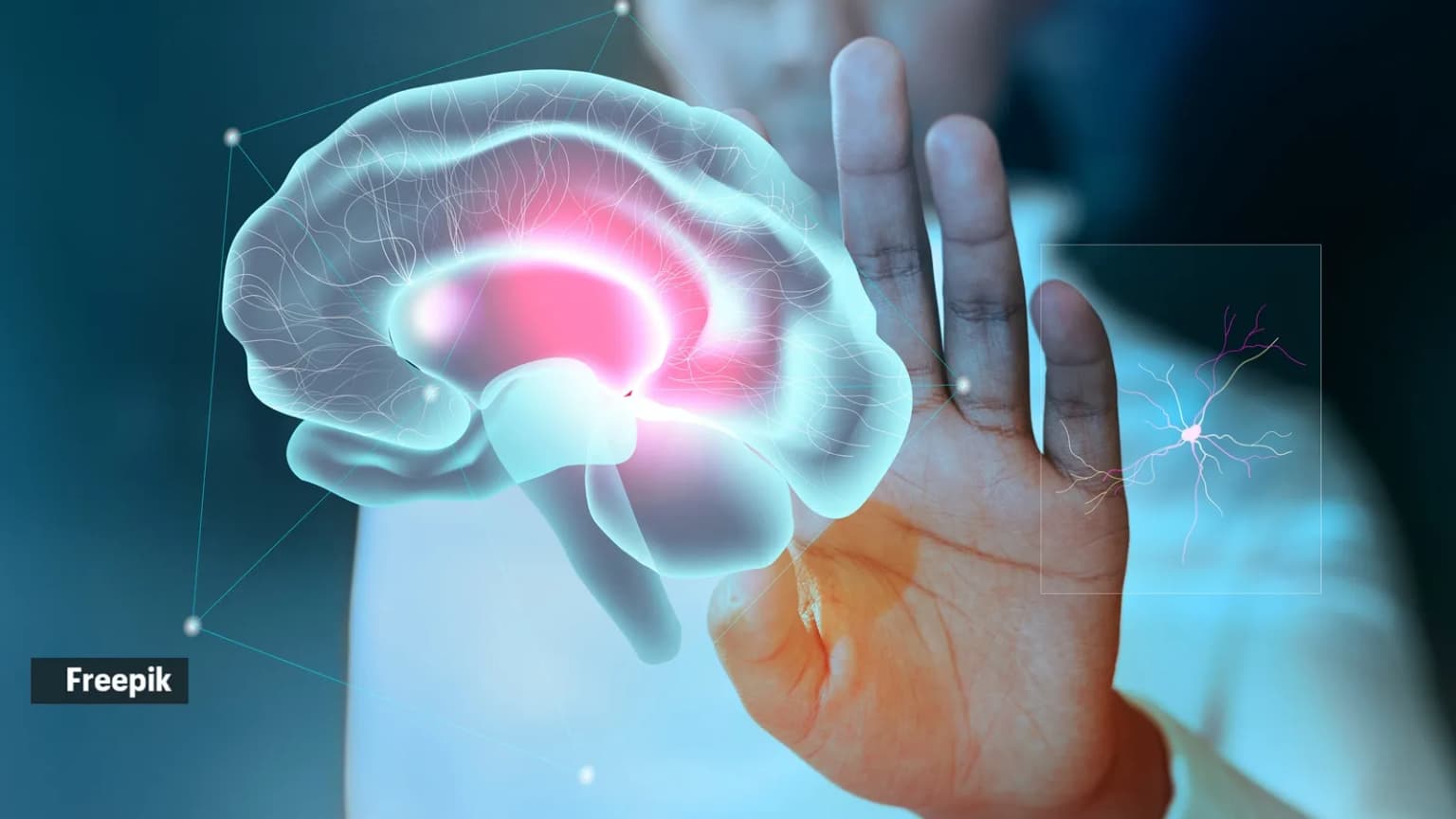 Do we really have two brains? Stanford research offers a surprising answer