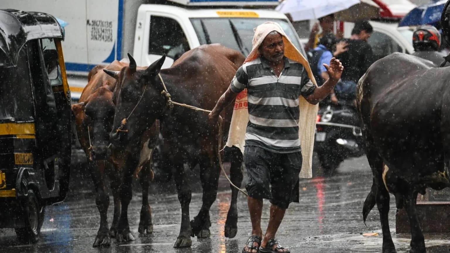 Amid drought-like conditions, Mumbai ends monsoon season on a deficit note