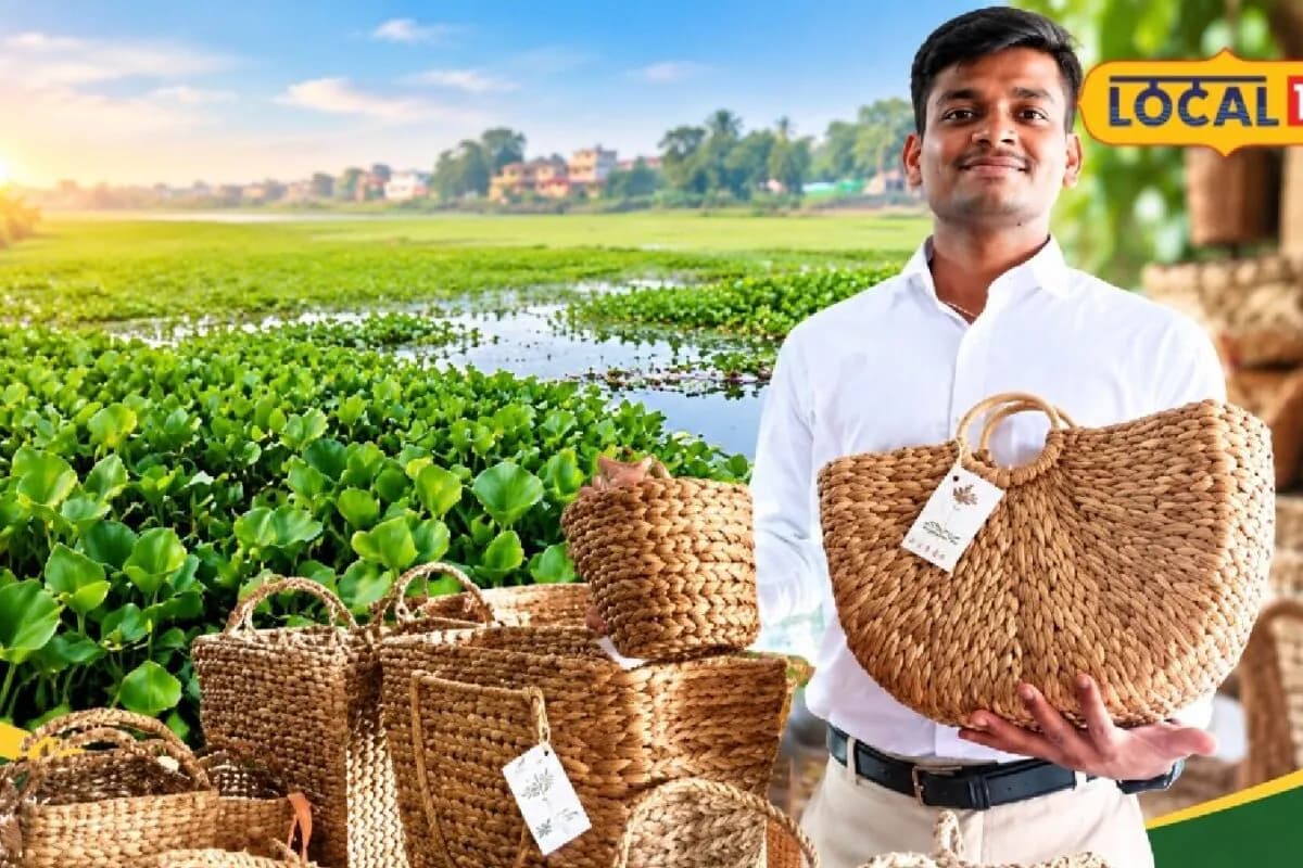 अक्षय गौतम ने 'टेरर ऑफ बंगाल' को बनाया कमाई का जरिया, किसानों की तकदीर बदल रही 'जलकुंभी'