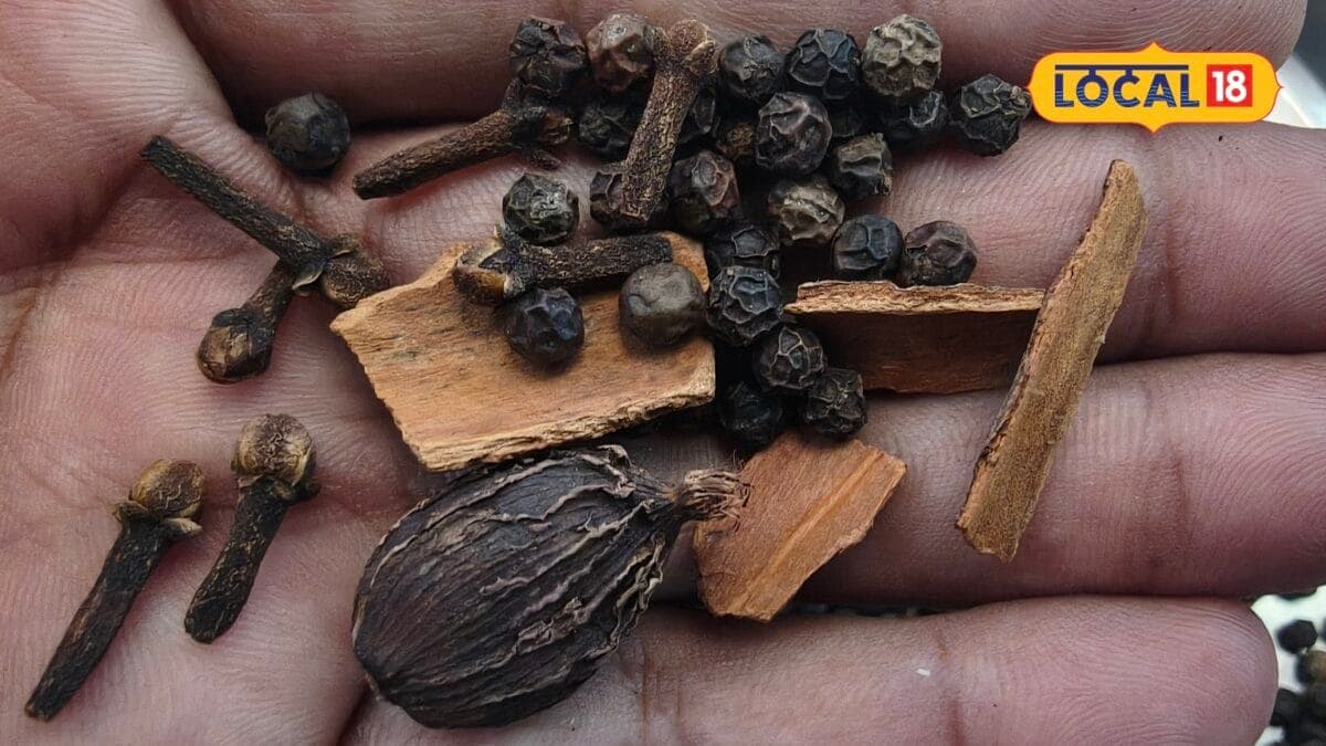 वायरल फीवर, सर्दी-जुकाम से बचना है तो किचन में रखी इन 5 चीजों को न करें नजरअंदाज, इम्युनिटी होगी मजबूत