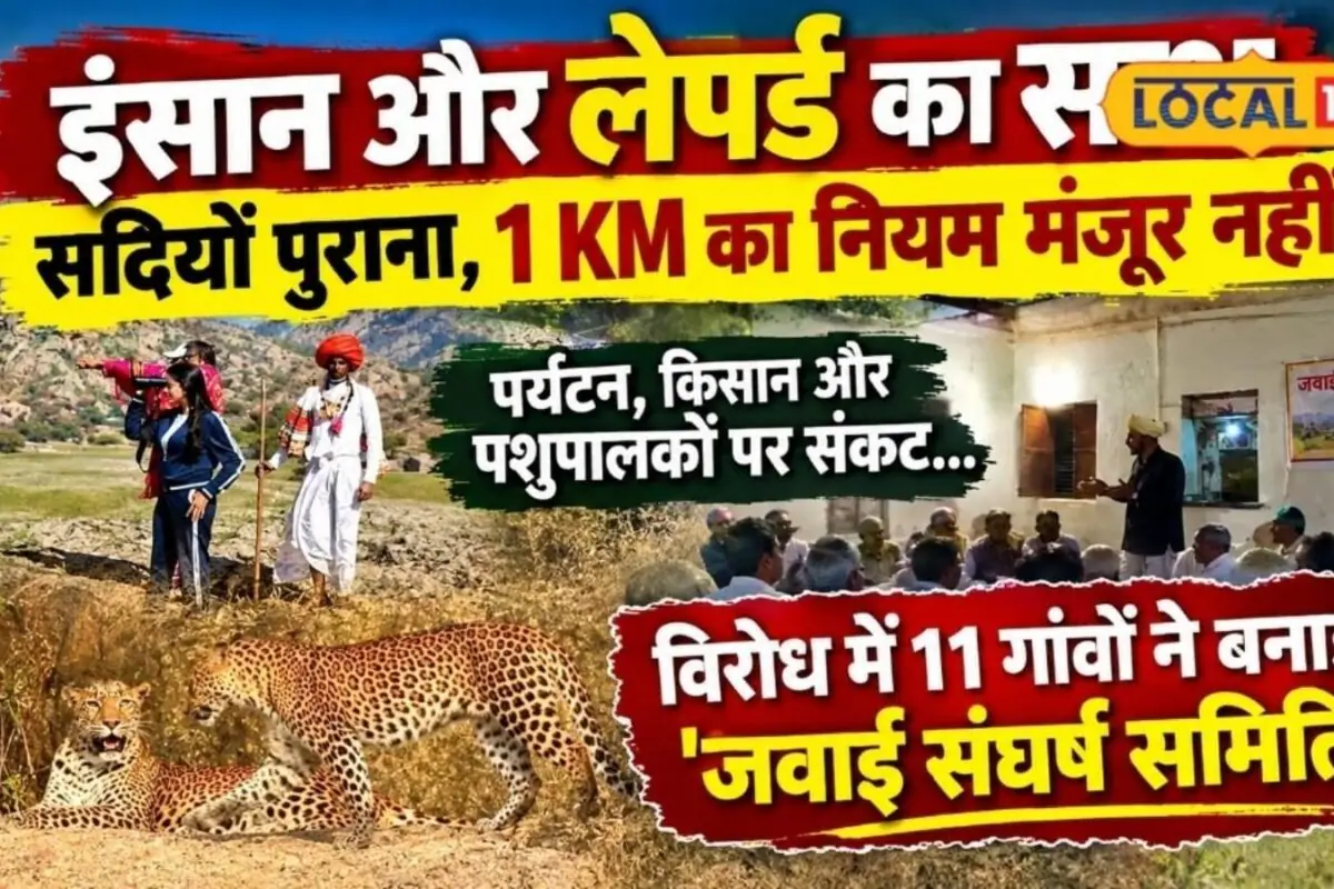 Pali News: जवाई में लेपर्ड केव का 1 KM दायरा बना विवाद, किसान-पशुपालक बोले- आजीविका पर नहीं चलेगी चोट