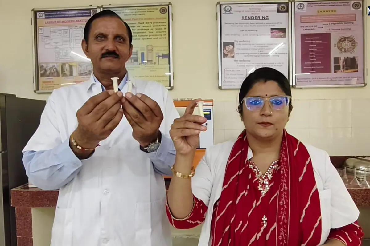 Camel Mila Patent: ऊंटनी के दूध पर वैज्ञानिकों का बड़ा कमाल, प्रोटीन तकनीक को मिला भारत सरकार का पेटेंट