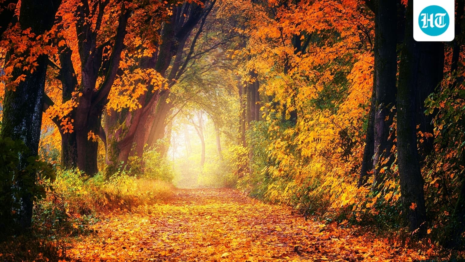 Summer has passed, and autumn has arrived: An astrologer has a different way to look at time