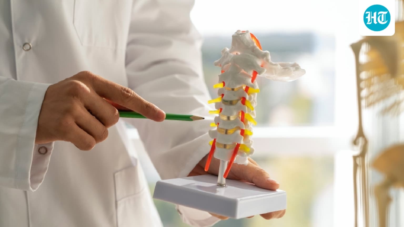 Spinal cord injury: What we fail to prevent